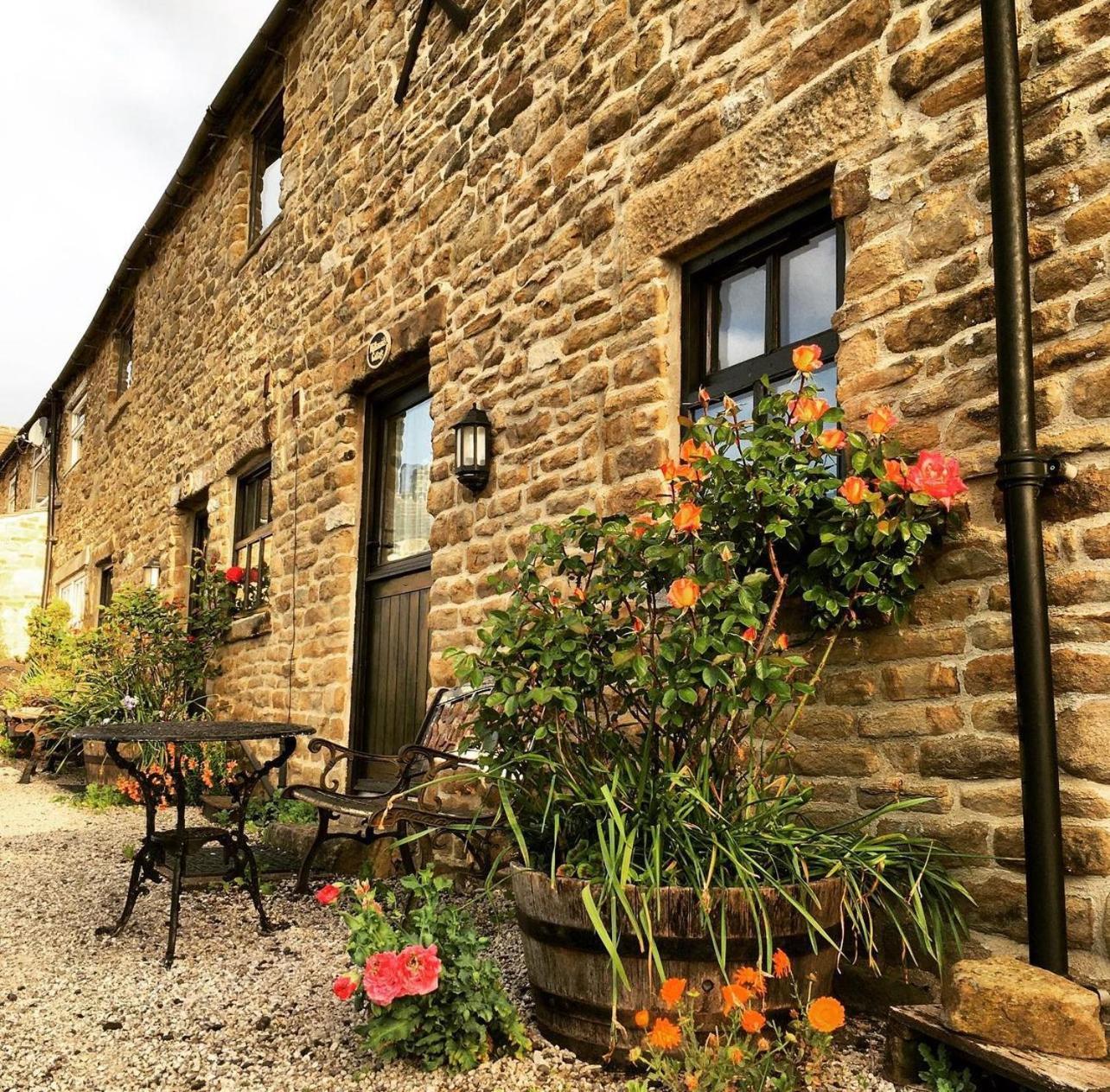 Riding House Farm Cottages 卡斯尔顿 外观 照片